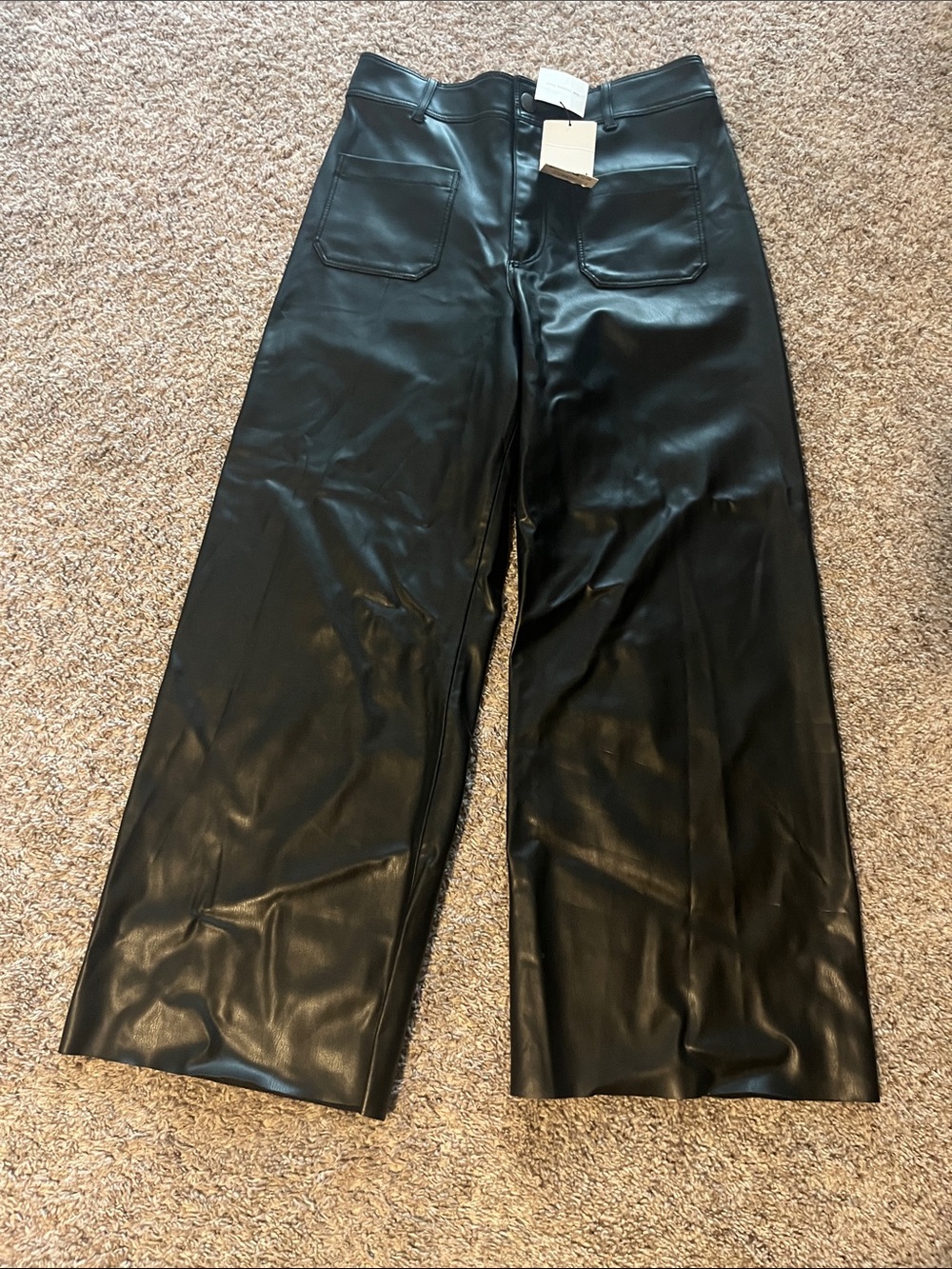 NWT Zara The Marine Pant
